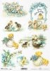 Wielkanoc, tematy wielkanocne, wiosna, kurczaczki, kurczaki, pisklęta, bazie, koszyczki, Vintage, retro, jajka, niezapominajki, R828, Easter, easter themes, spring, chickens, chickadees, chicks, baskets, Vintage, retro, eggs, forget-me-nots, Ostern, Oster